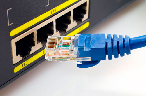 Los cables de red para conectar internet a smart tv o computadora.