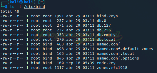 archivos bind dns servidor