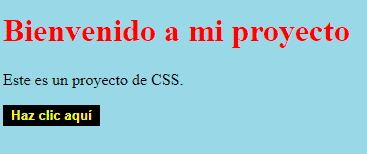 proyecto css